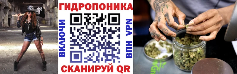 Бошки Шишки White Widow  Купить закладки  Нариманов 